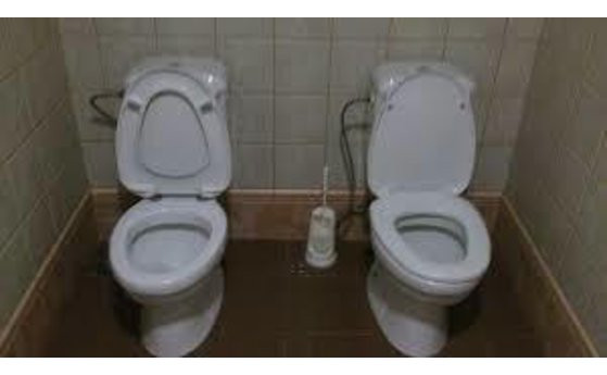 Ето как истински СНИМКИ на тоалетна станаха хит в нета!