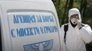 Ужас! Вижте какво нападна страната ни!