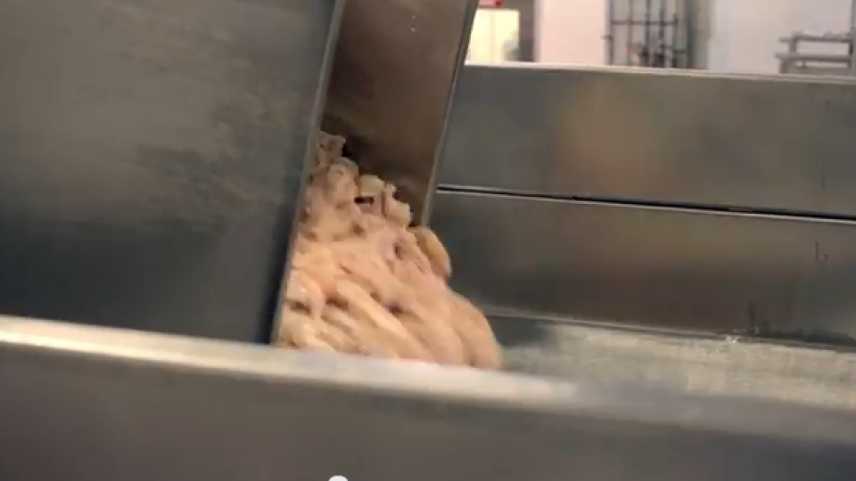 Вижте как се правят пилешките хапки в Макдоналдс (Видео)