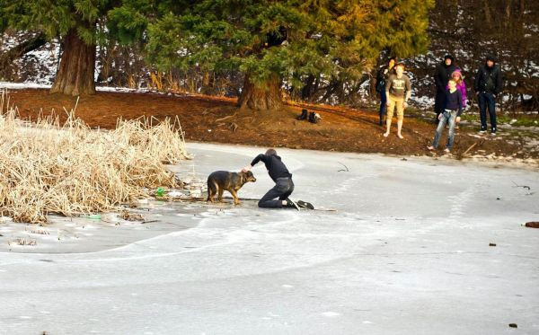 Една история с куче в Южния парк трогна хиляди българи! (СНИМКИ)