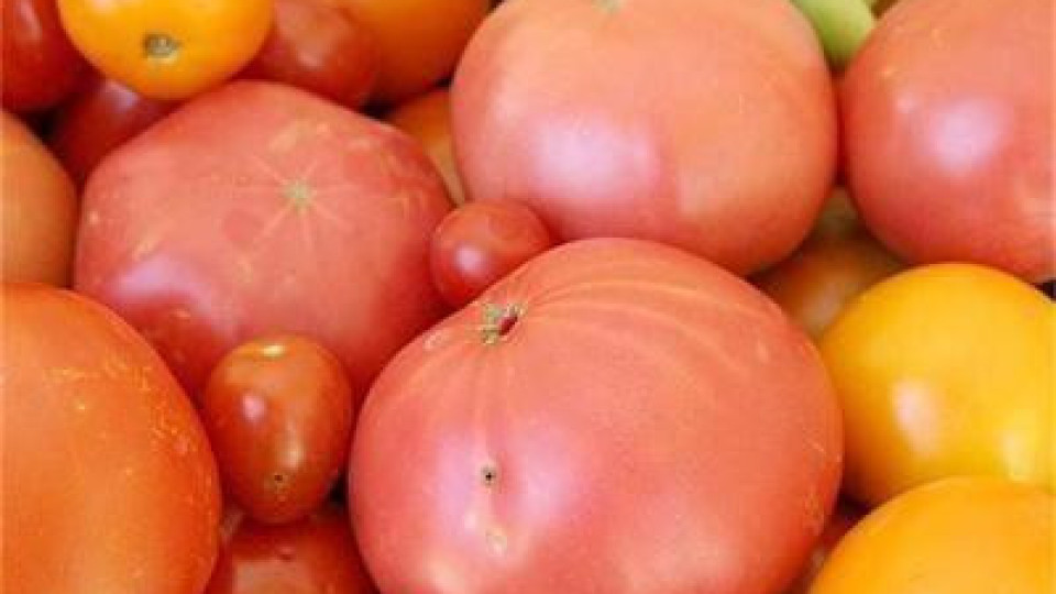 Заразени домати ни пробутват от Гърция