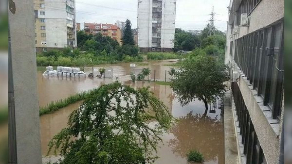 Нов бич за пострадалите от потопа в Добрич