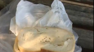 Хранят с мухлясали сандвичидоброволци в Аспарухово