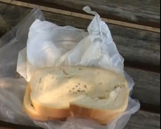Хранят с мухлясали сандвичидоброволци в Аспарухово