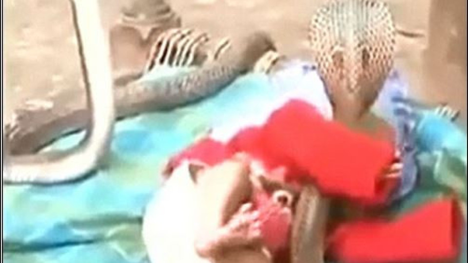 Змии пазят спящо бебе в Индия (Видеото смрази мрежата)