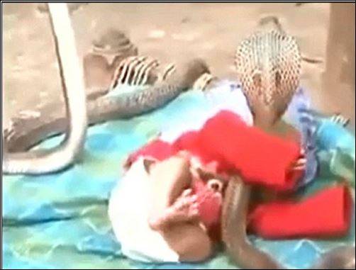 Змии пазят спящо бебе в Индия (Видеото смрази мрежата)