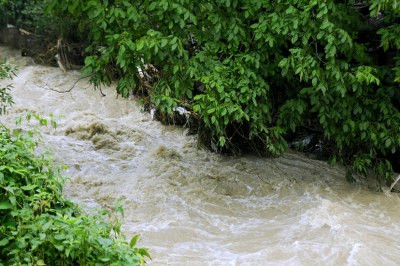 След наводнението в Берковица: Хора плачат, къщите под вода