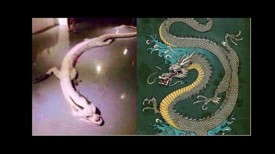 Чудо невиждано! Уловиха митичен змей в Монголия