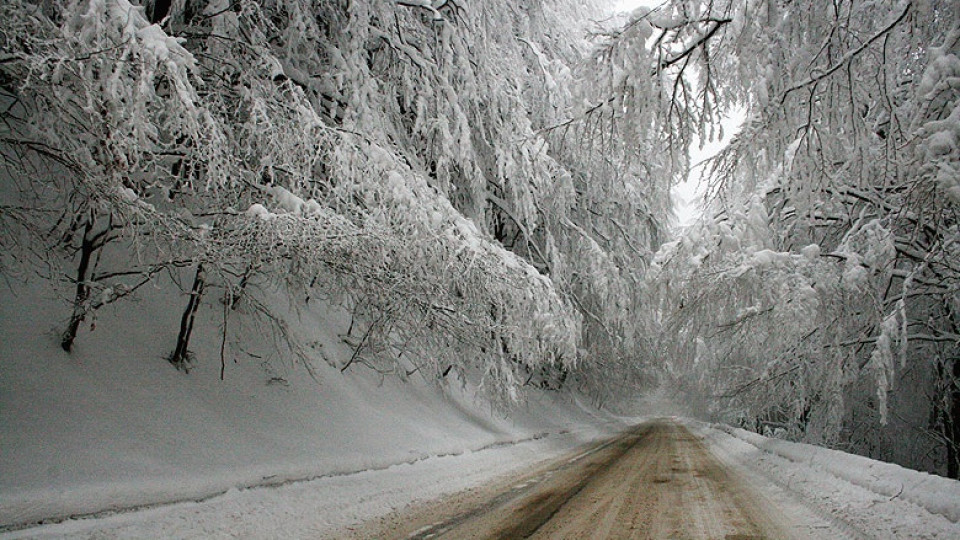 Първият сняг в България вече е факт