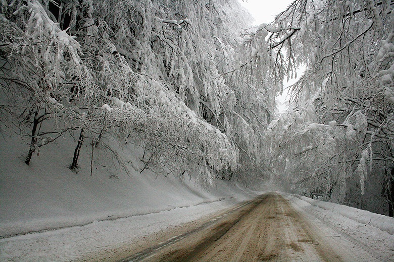 Първият сняг в България вече е факт