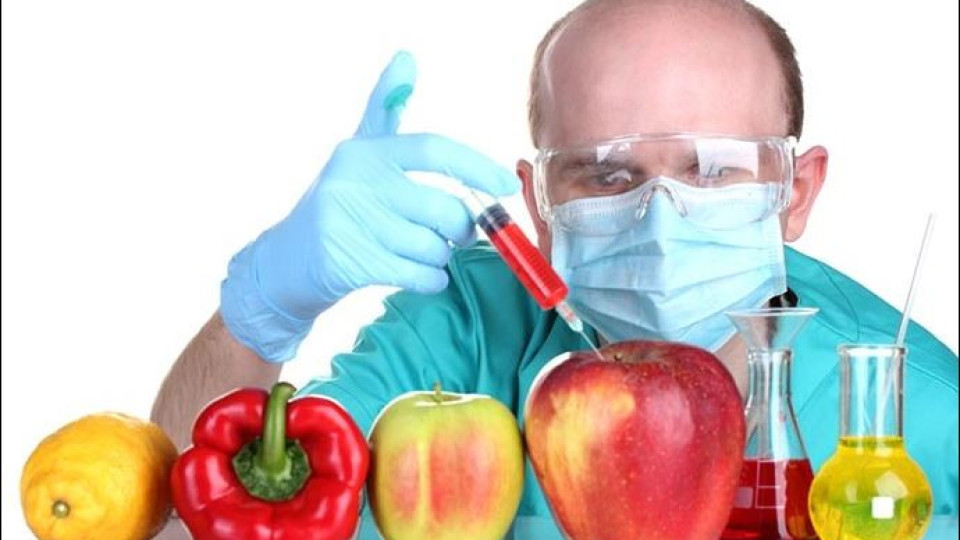 Край с ГМО храните в ЕС!