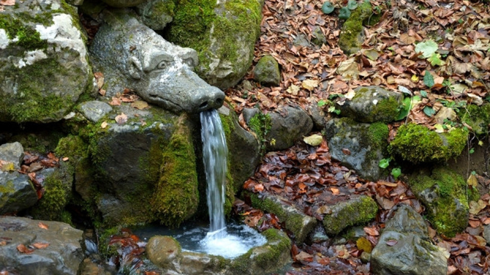 Феномен: Живата вода в село Боснек е истинско чудо!