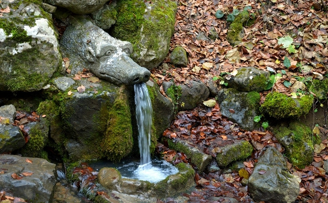 Феномен: Живата вода в село Боснек е истинско чудо!