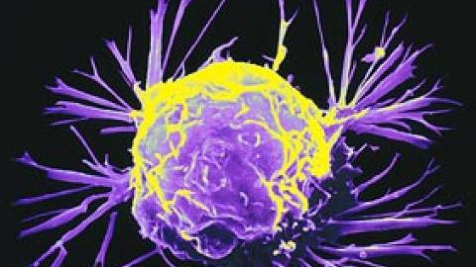 Учени разгадаха тайната на рака