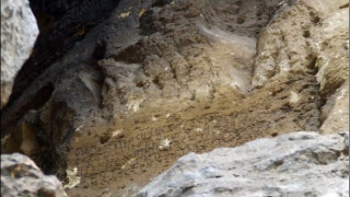 Историческо откритие край Крепча! (Намериха най-стария кирилски надпис)