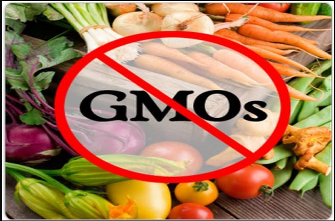 Истината за ГМО храните: Водят до тумори и рак