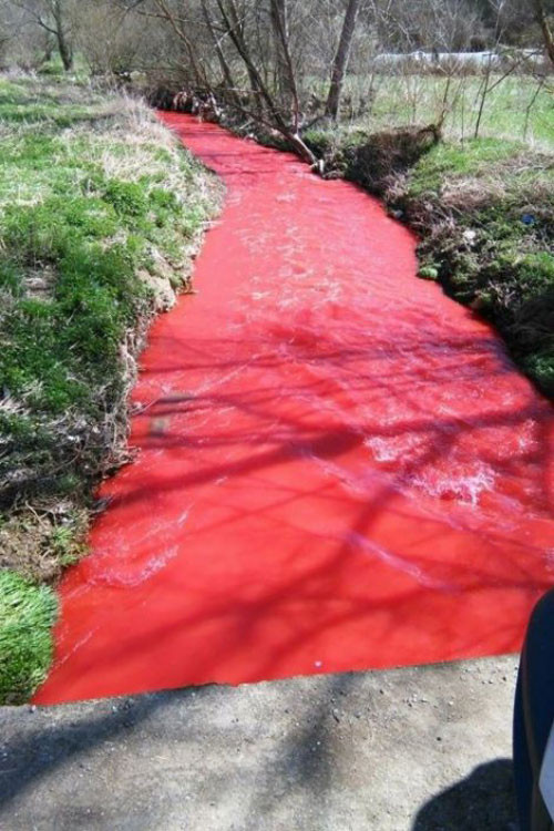 На Разпети петък: Кървава река потече в Сърбия