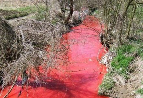 На Разпети петък: Кървава река потече в Сърбия