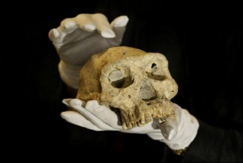 Разкритие! Първият праисторически човек в света е от Балканите