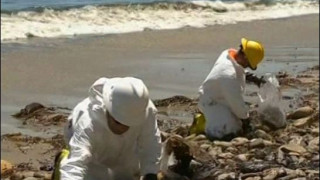 Еко катастрофа в Калифорния (Обявиха извънредно положение заради нефта)