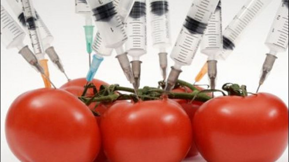 Хърватия заплашена от наказание заради отказ от ГМО