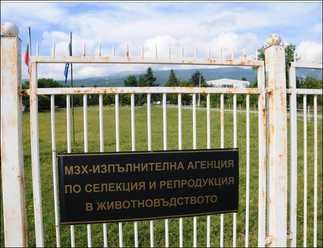 Взривиха Агенцията по животновъдство (Вижте версиите)