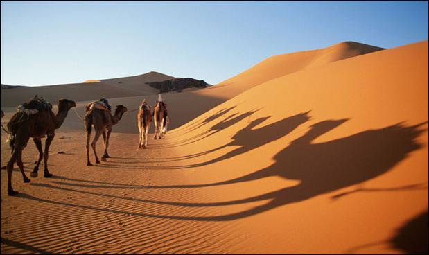 Учени с нови разкрития за Сахара: Как от езеро се превърна в пустиня