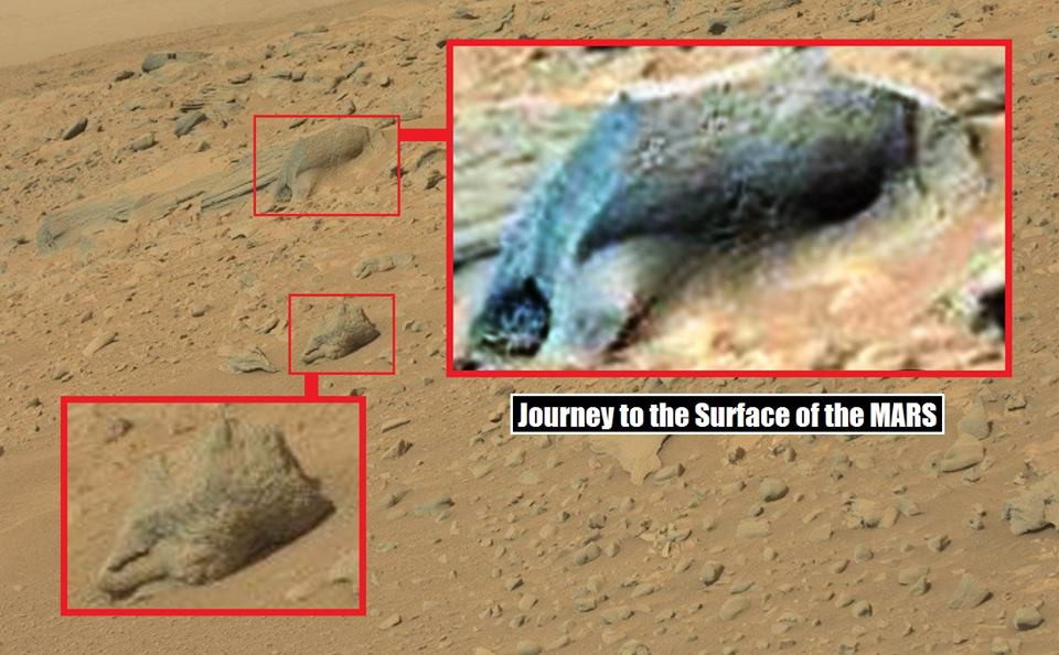 Снимка от Марс взриви мрежата: Извънземни, космически паяк или друго?