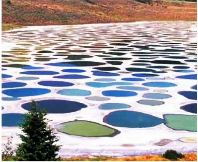 Загадката на петнистото езеро (Най-необикновения феномен в Канада)