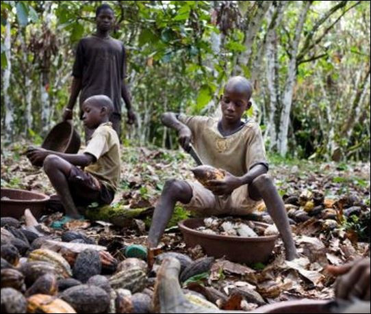 Производители на шоколад експлоатират деца в Африка (Нови разкрития)