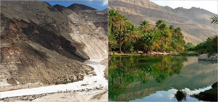 Джунгла сред пустинята: Раят на Оман (Снимки)
