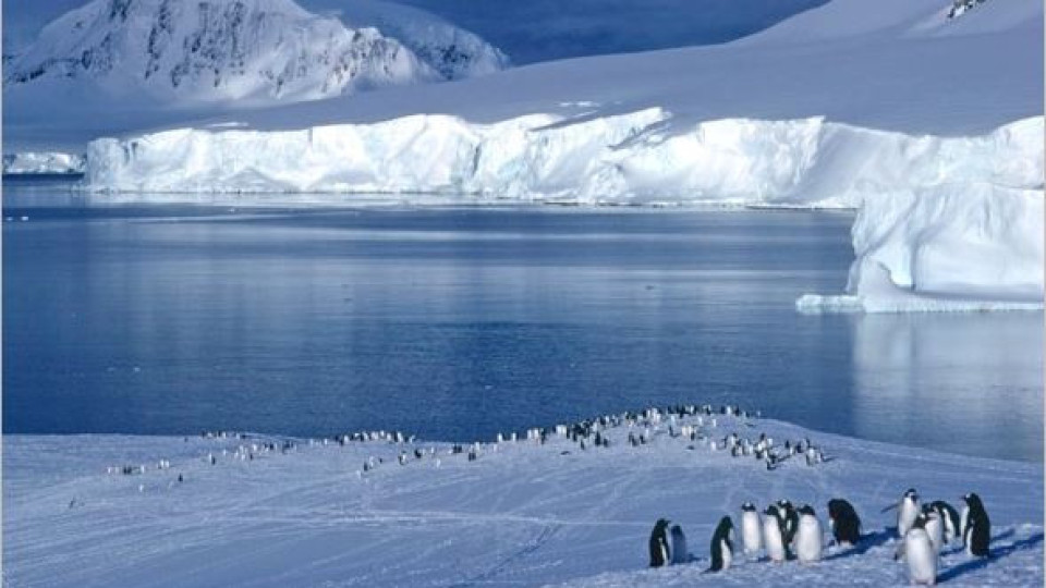 Антарктида втрещи учените: Защо процесът на топене се обърна?