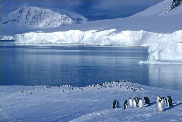 Антарктида втрещи учените: Защо процесът на топене се обърна?