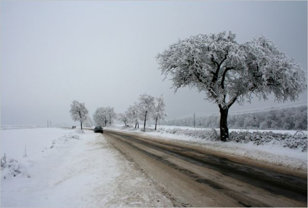 България в снежен капан: Какво време ни очаква?