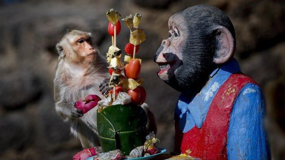 Посрещаме годината на маймуната (Какво да носим за късмет)