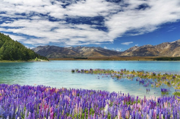 Нова Зеландия: 10 неща, които не знаете за нея