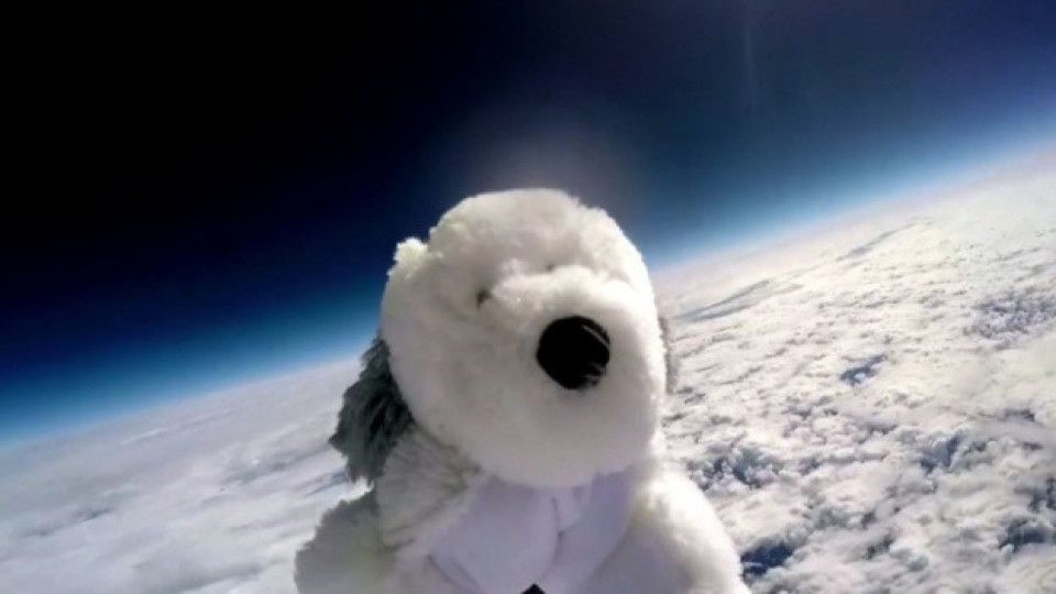 Търсенето на Сам — куче-талисман изчезна в Космоса