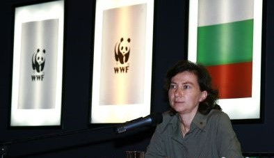 WWF лъснаха в още офшорки, Кавръкова излезе със скалъпено оправдание
