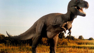 Защо са изчезнали динозаврите?