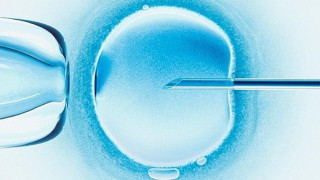Холандия скандализира със спорен закон за опити с ембриони