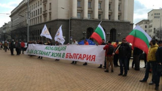 Зелените готвят пореден протест, разклащат и служебното правителство (Какво ги разгневи този път?)