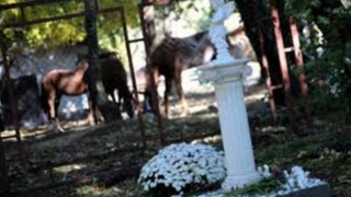 Двама в ареста за убийството на Георги (Вижте още за знаковото престъпление)