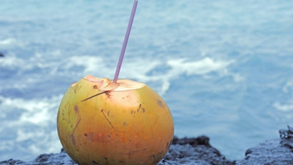 Учени със сензационно разкритие за здравето: На този остров никой не боледува!