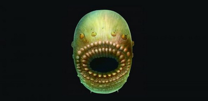 Уникална находка на дъното на морето: Разкриха произхода на хората?