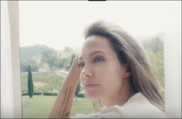 Анджелина Джоли се завърна в пълния си блясък! Ето я след развода