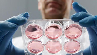 Пържоли от епруветка се борят с недостига на ресурси (Истината за изкуственото месо)