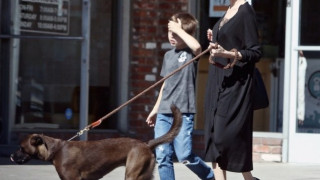 Анджелина Джоли втрещи с абсурден стайлинг (Вижте как води кучето си на разходка)