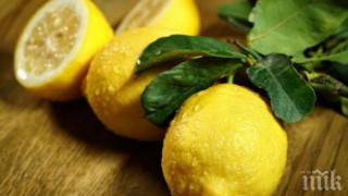 Проф. Тодор Кантарджиев: Спасете се от вирусите с обикновен лимон!