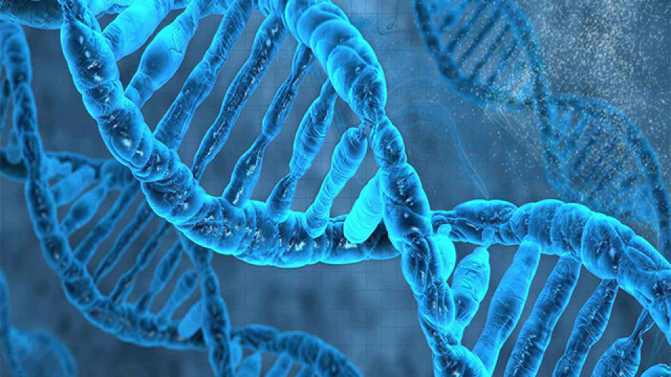 Учени: Получихме данни за генома на Исус Христос