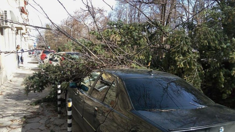 Лошо време нападна България: Ураганни ветрове из цялата страна (Снимки)